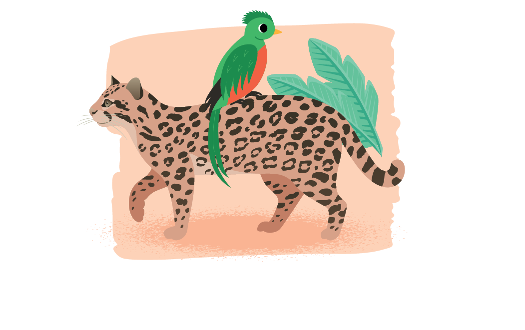 Illustration: Tiere im Nationalpark