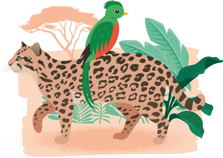 Illustration: Tiere im Nationalpark