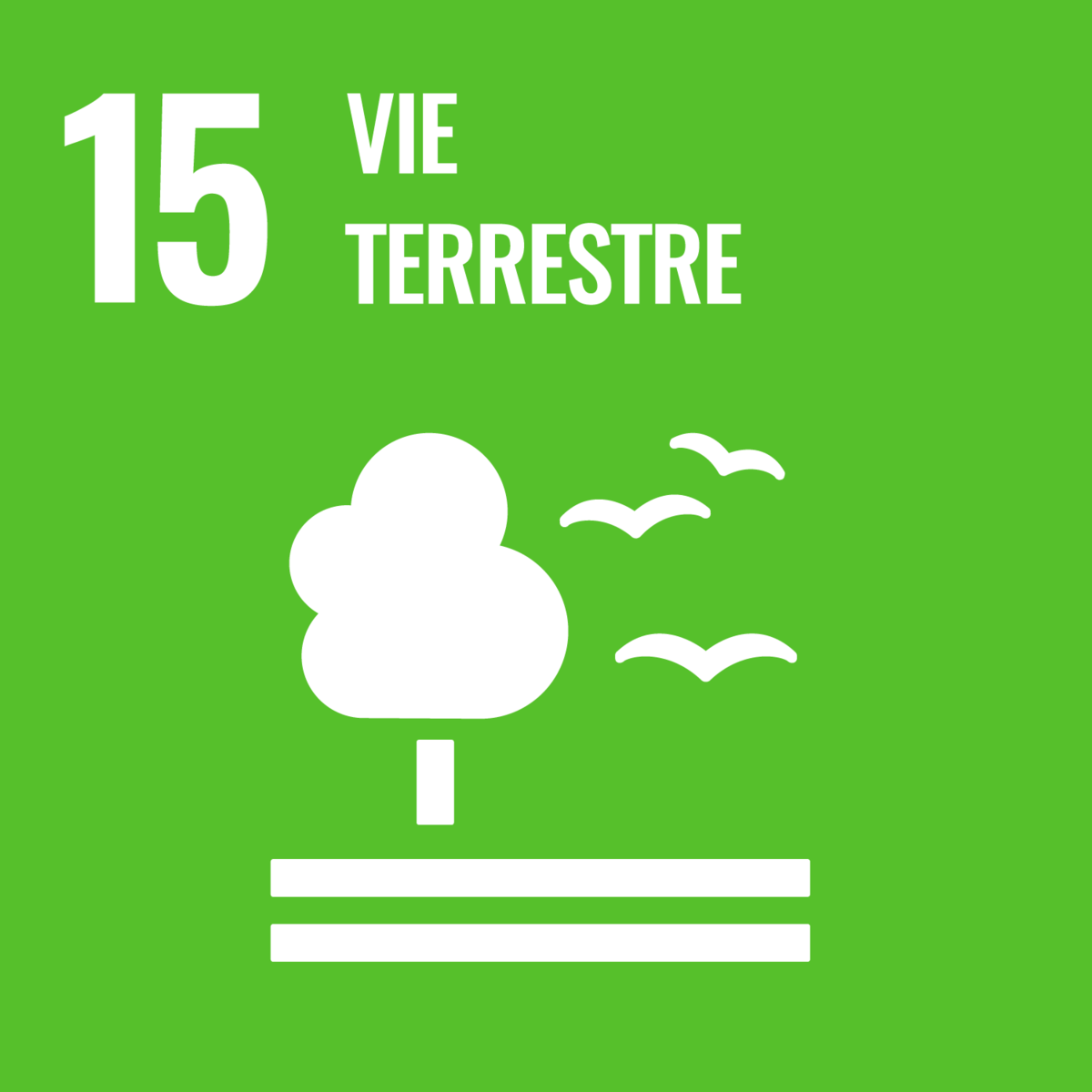 SDG15 Vie terrestre