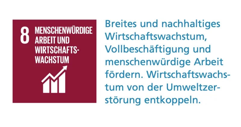 SDG_8_DE