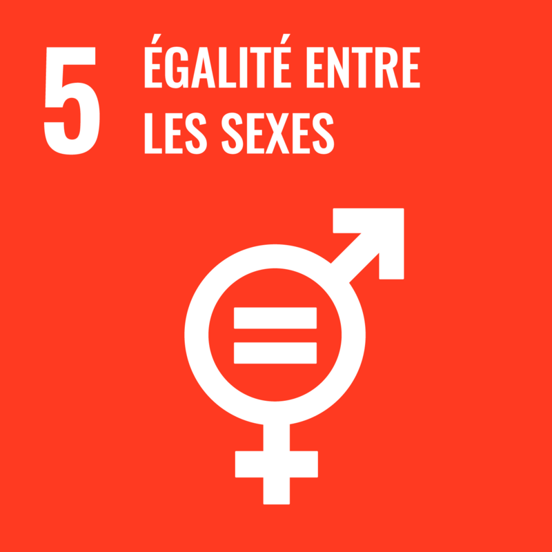 SDG5 Égalité entre les sexes