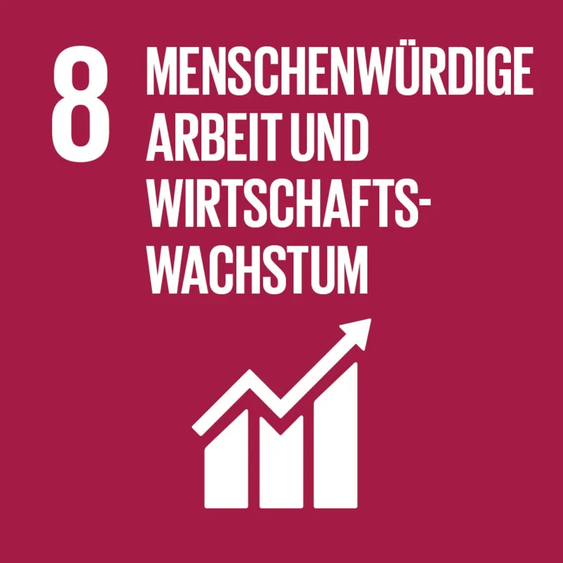 SDG8 Menschenwürdige Arbeit und Wirtschaftswachstum