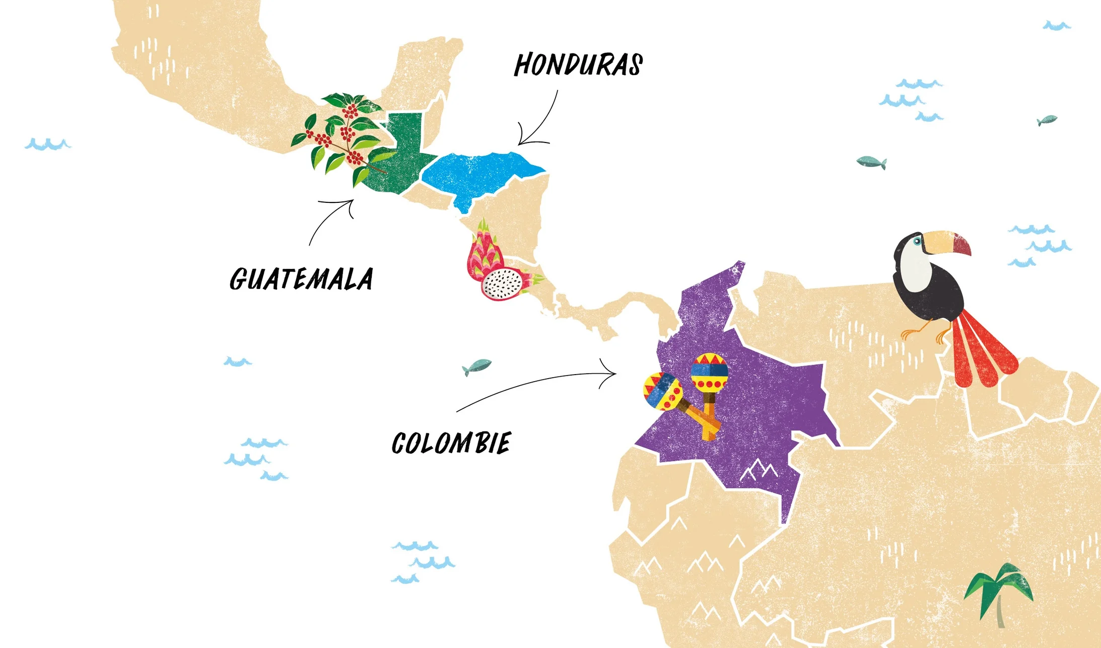 Carte: pays d'intervention