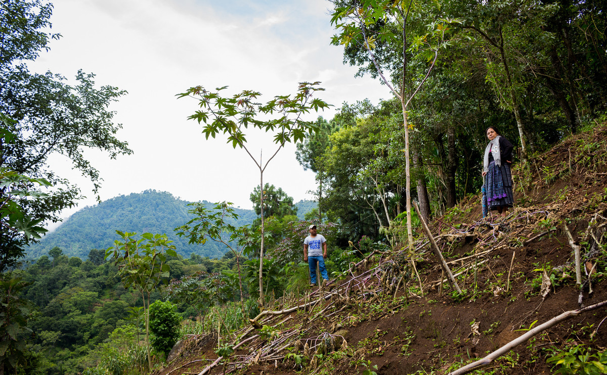 Bauern in Guatemala