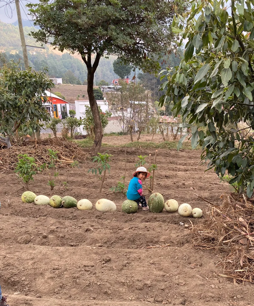 Mädchen auf Kürbis in Guatemala
