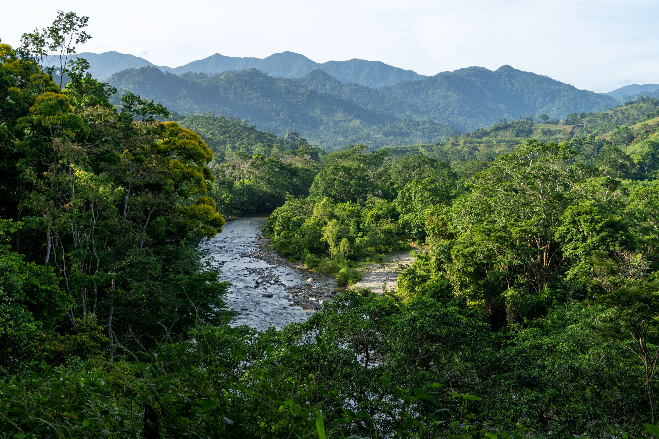 Landschaft Pico Bonito