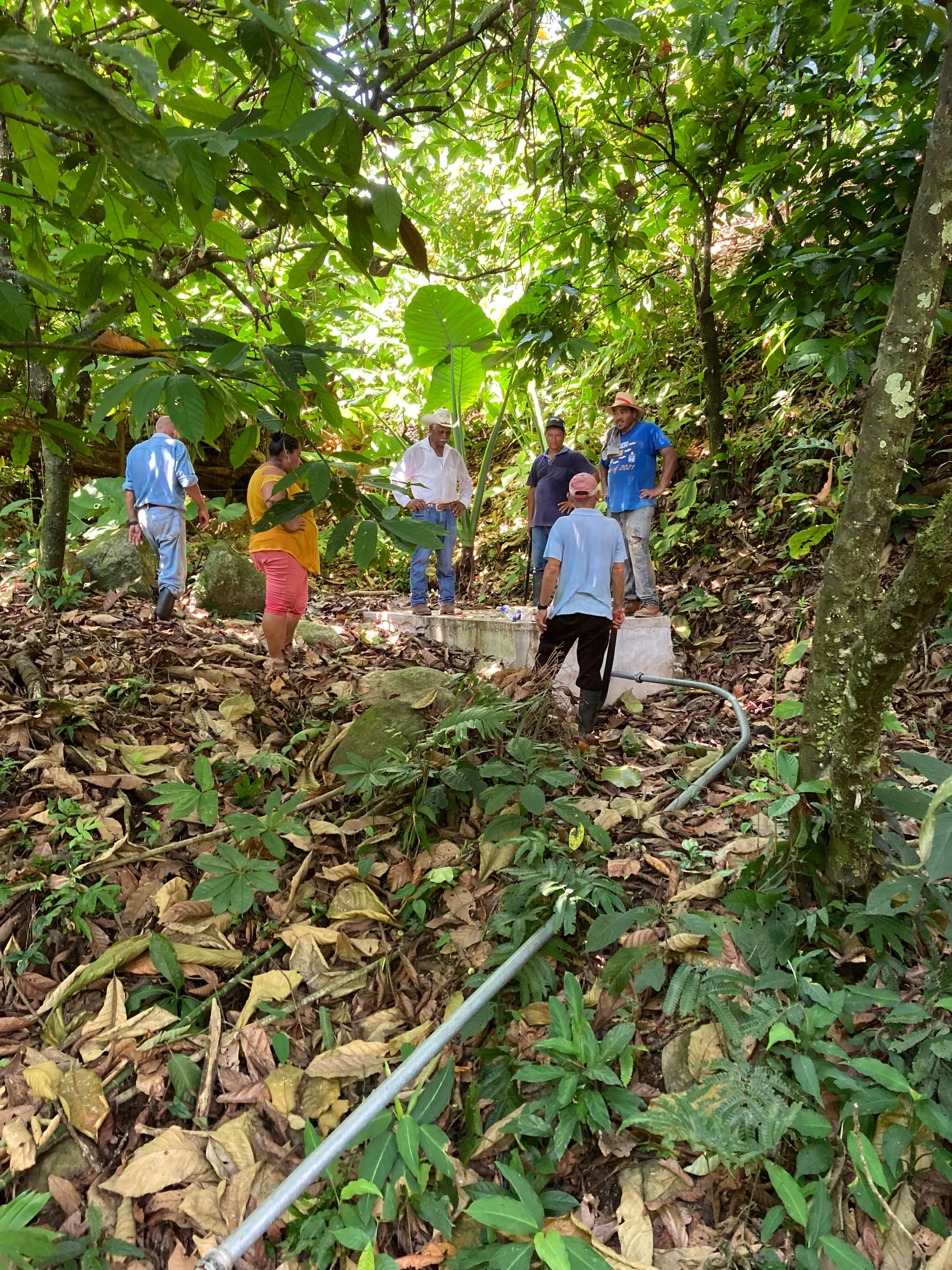 Quellfassung im Norden von Honduras
