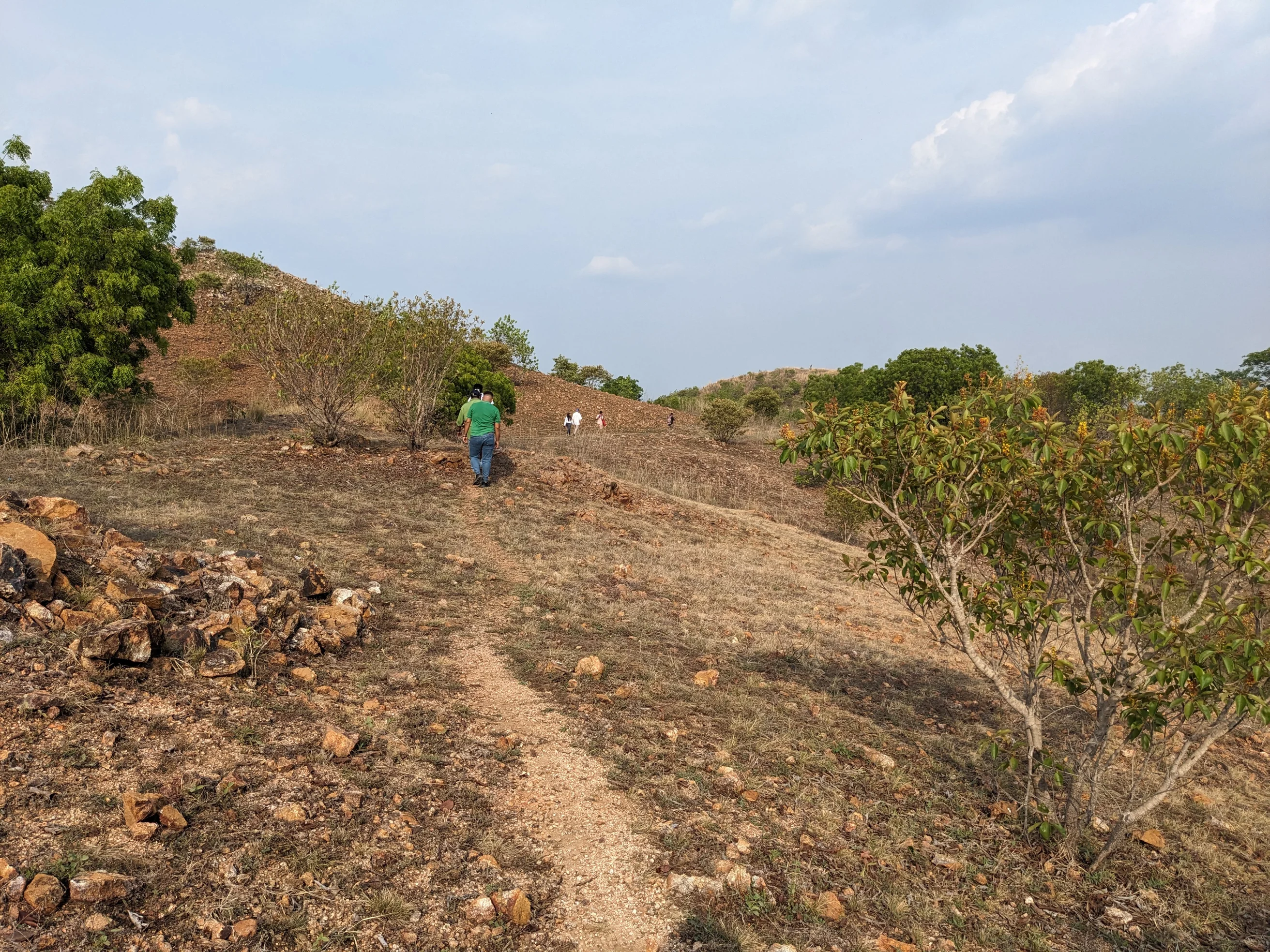 Landschaft von Choluteca