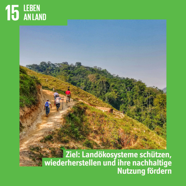 SDG 15 - Landökosysteme