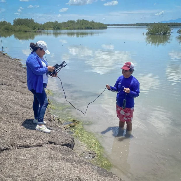 Messung der Wasserqualität