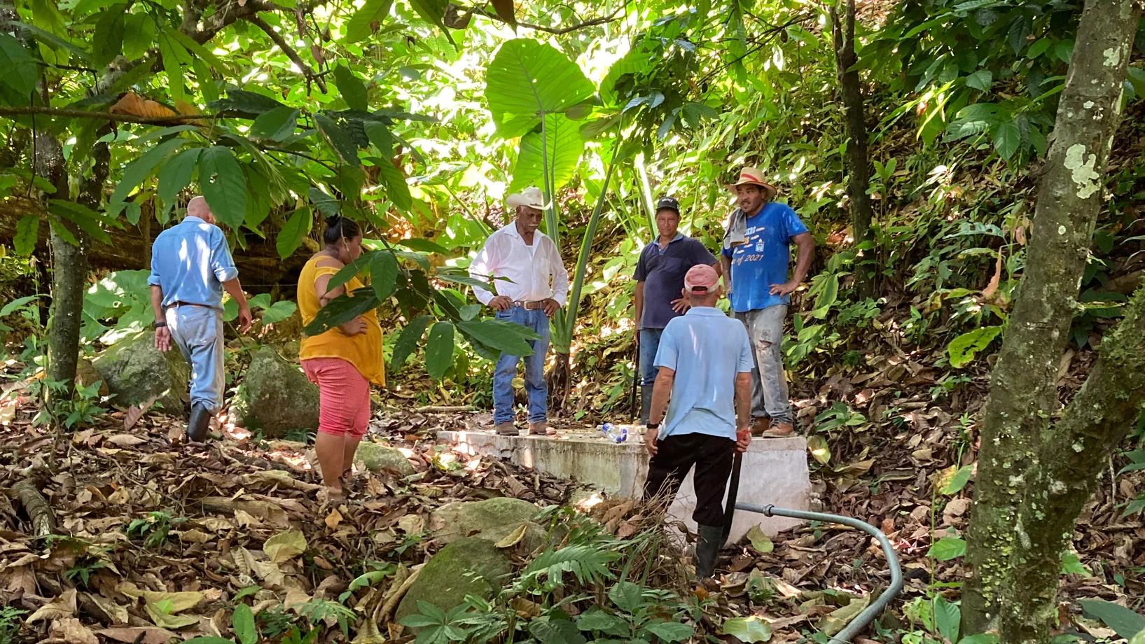 Quellfassung im Norden von Honduras